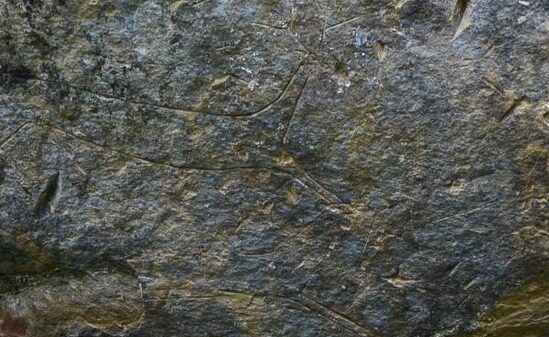 Petroglyph in the shape of a stag